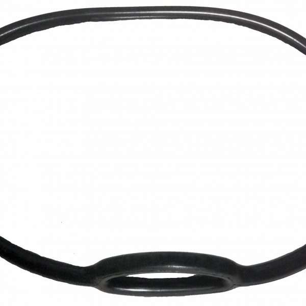 Octopus Bungee loop